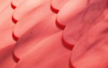 Hawkchurch plastic roof costs